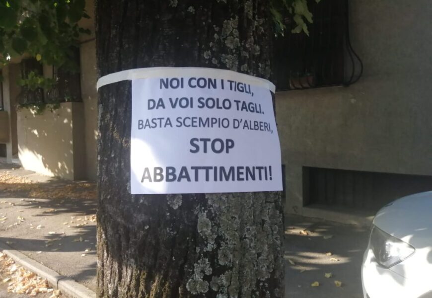 taglio tigli. ECCO PERCHÈ ADERIAMO AL PRESIDIO DI OGGI IN VIA FIRENZE