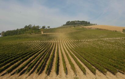 IL VIN SANTO DEL CHIANTI DOC PROTAGONISTA AL “CONCOURS MONDIAL DE BRUXELLES 2024”