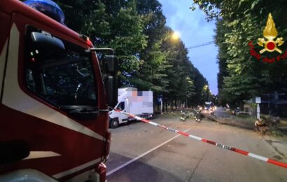 CADE UN ALBERO IN VIA FIRENZE TRA LO STADIO E PONTE PETRINO