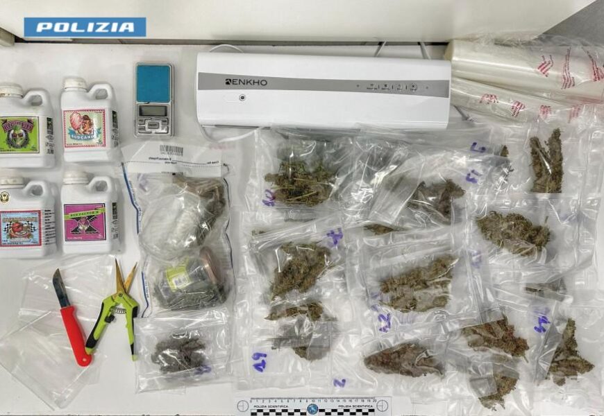 monsummano. SEQUESTRATA PICCOLA PIANTAGIONE DI MARIJUANA