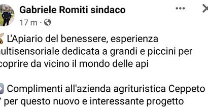 sinagra&cuffaro 48. CAMILLERI AVEVA RAGIONE. BABY-ROMY CREDE DI ESSERE STATO ELETTO SOLO PER FARE IL TESTIMONIAL CON LA FASCIA?