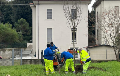 progetto “click to be green”. DICIOTTO NUOVI ALBERI PER L’AREA VERDE DI VIA PELAGO