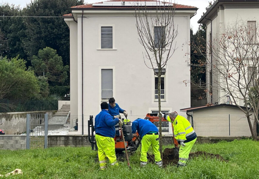 progetto “click to be green”. DICIOTTO NUOVI ALBERI PER L’AREA VERDE DI VIA PELAGO