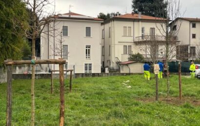 RIQUALIFICAZIONE A VERDE DI VIA DEL PELAGO