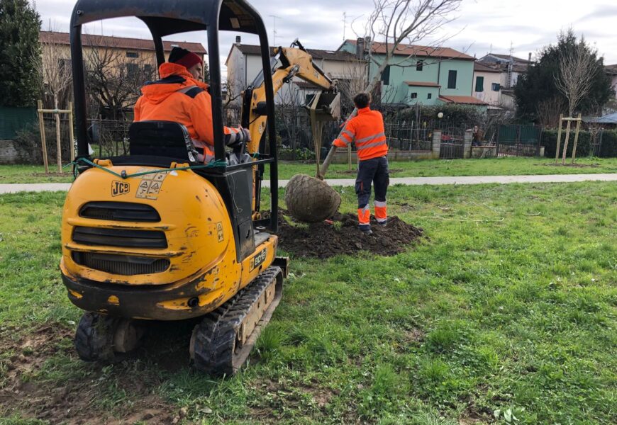 AREE A VERDE BONELLE 80, IN ARRIVO NUOVI ALBERI E ARREDI